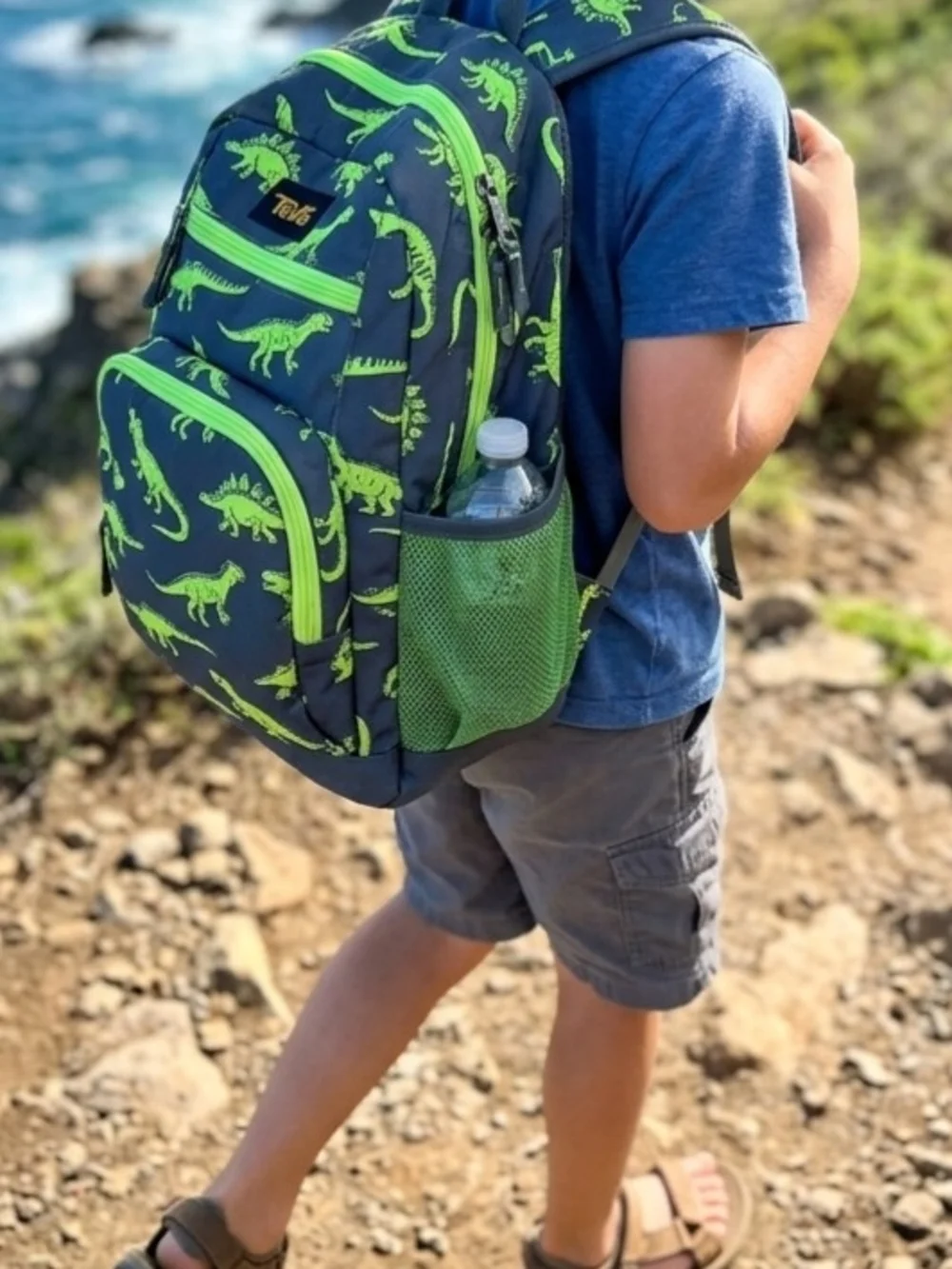 Dinosaur Print Kids Backpack Blue/Green Polyester Zip Padded w/ Outer Pockets